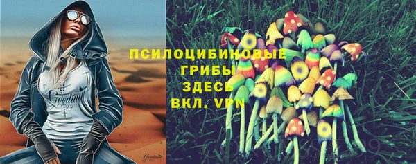 тгк Абдулино