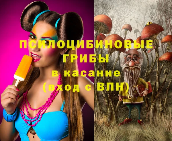 прущие крисы Абаза